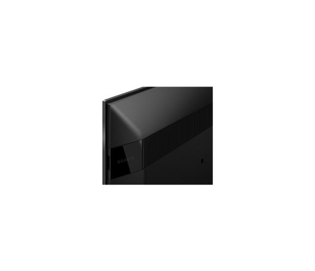 Sony KD-49XH9505 - 578568 - zdjęcie 10